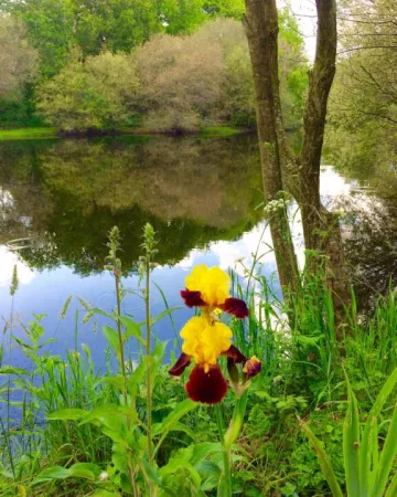 @ Les Chemins d'Eléonore