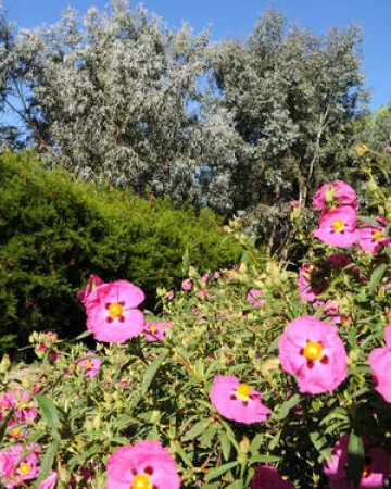 ©mairie-Saint-Nazaire