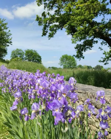 © OT Sainte-Suzanne Les Coëvrons