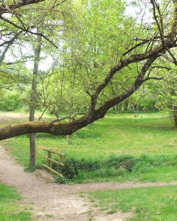 Commune de Soulaines-sur-Aubance