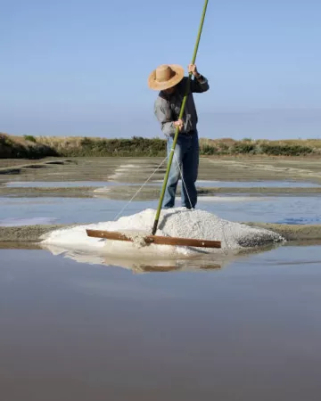 Crédit photo Terre de Sel / Photo Pascal François