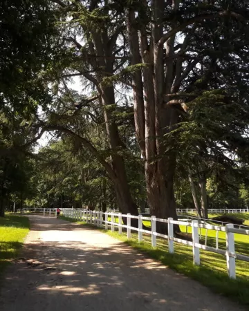 © Office de Tourisme de l'Anjou bleu