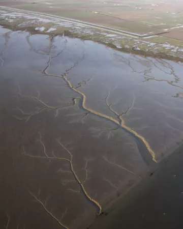 Réserve naturelle nationale de la Baie de l'Aiguillon
