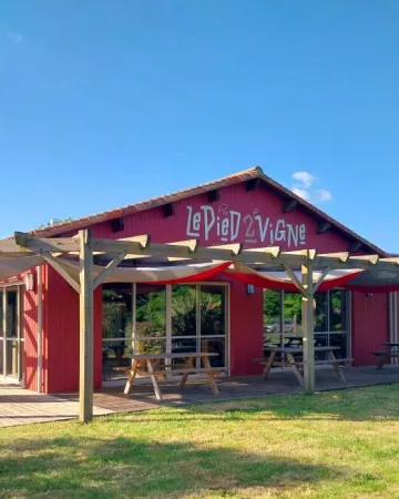 Le Pied 2 Vigne