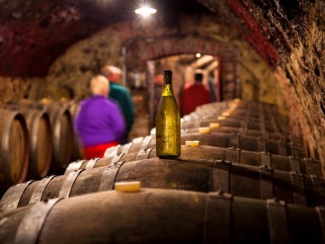 Domaine Gigou - Jasnières et Côteaux du Loir - La Chartre-sur-le Loir Caves voutées en tuffeau où le vin est vinifié.