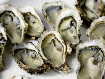 oyster-1522835-640-1674660 Pixabay