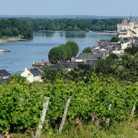 Descubre el itinerario La Loira en bicicleta
