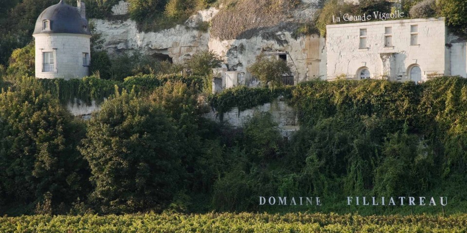 Visita los viñedos de Anjou-Saumur 