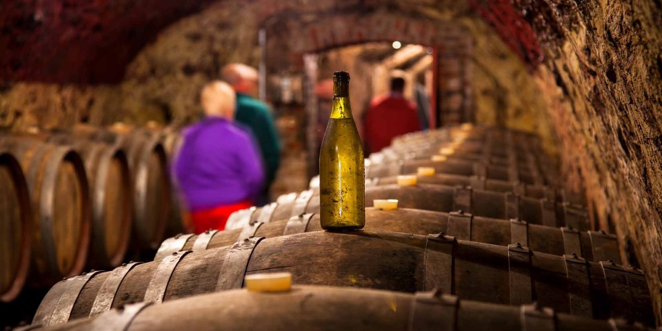 Explora el Valle del Loir para catar sus increíbles vinos blancos afrutados